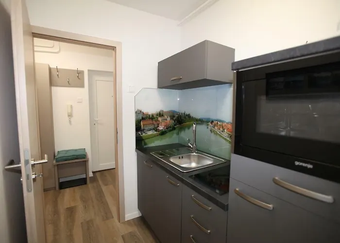 Apartman Elegant W/parking *